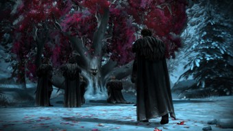tree_650px
