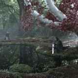 bosque de dioses