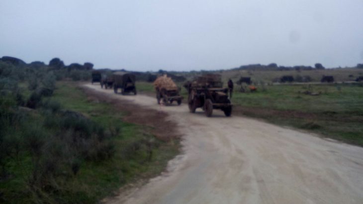 whatsapp-image-2016-12-02-at-15-07-14