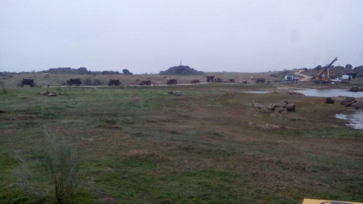 whatsapp-image-2016-12-02-at-15-07-21