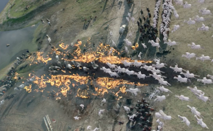cgi2-768x472