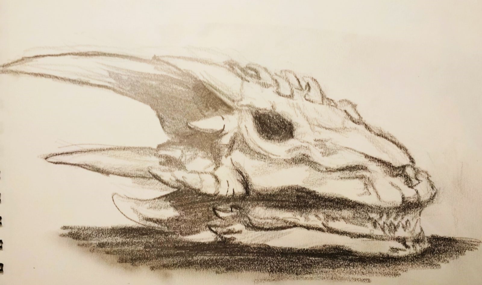 Cabeza de dragón