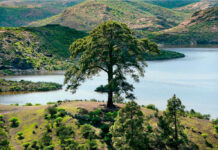 Exclusiva confirmada: ¡la segunda temporada de El Caballero de los Siete Reinos se grabará en Gran Canaria!